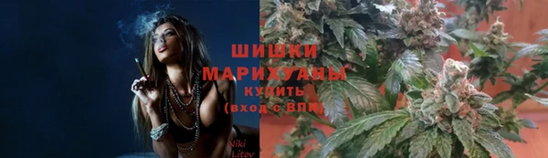 прущие крисы Михайлов