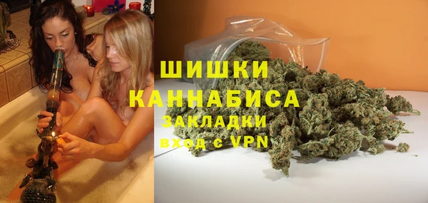 spice Медногорск
