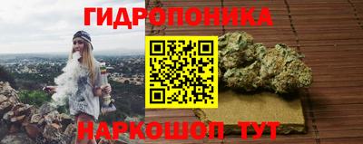ALPHA PVP Канаш