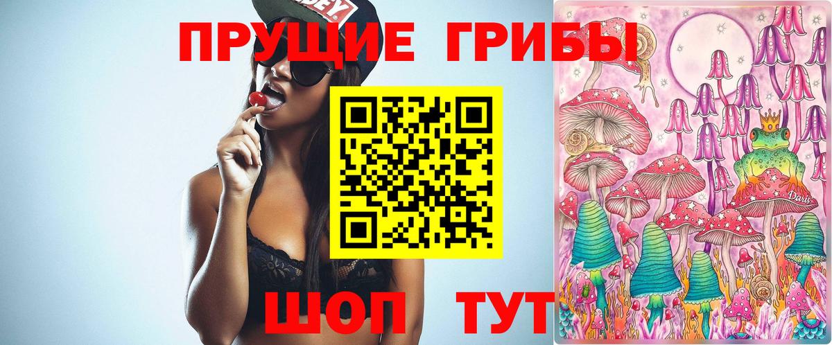 Галлюциногенные грибы Psilocybine cubensis Мирный